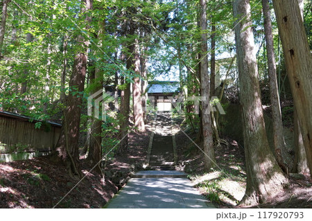 信州の鎌倉塩田平にはたくさんの寺があります（安楽寺） 117920793