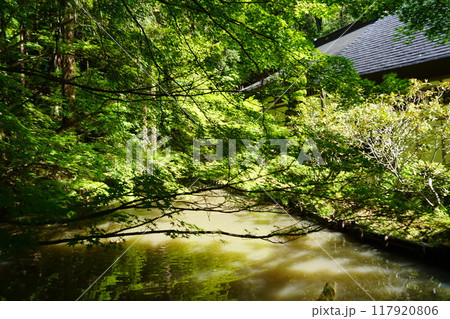 信州の鎌倉塩田平にはたくさんの寺があります(安楽寺) 信州の鎌倉塩田平にはたくさんの寺があります(安楽寺) 117920806