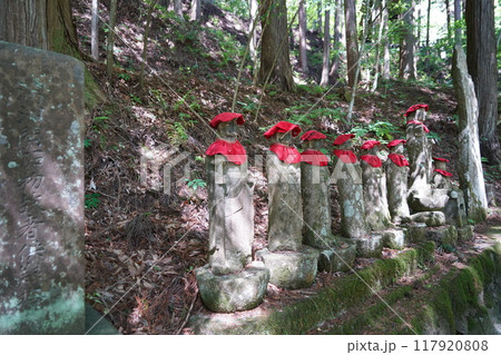信州の鎌倉塩田平にはたくさんの寺があります（安楽寺） 117920808