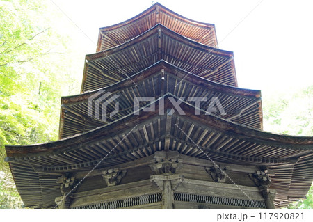 信州の鎌倉塩田平にはたくさんの寺があります(安楽寺) 信州の鎌倉塩田平にはたくさんの寺があります(安楽寺) 117920821
