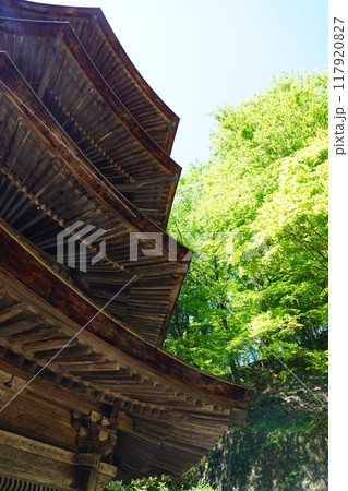 信州の鎌倉塩田平にはたくさんの寺があります(安楽寺) 信州の鎌倉塩田平にはたくさんの寺があります(安楽寺) 117920827