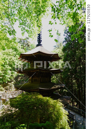 信州の鎌倉塩田平にはたくさんの寺があります(安楽寺) 信州の鎌倉塩田平にはたくさんの寺があります(安楽寺) 117920830