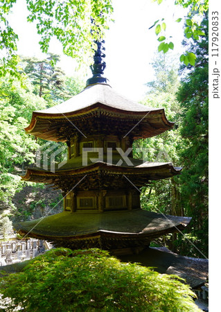 信州の鎌倉塩田平にはたくさんの寺があります(安楽寺) 信州の鎌倉塩田平にはたくさんの寺があります(安楽寺) 117920833