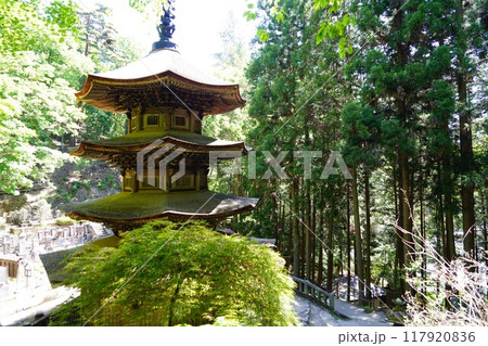 信州の鎌倉塩田平にはたくさんの寺があります（安楽寺） 117920836