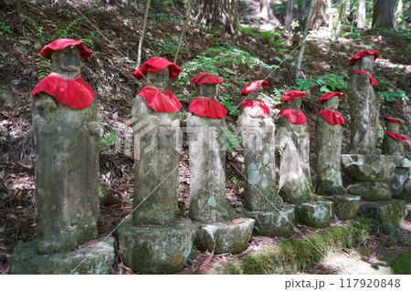 信州の鎌倉塩田平にはたくさんの寺があります（安楽寺） 117920848