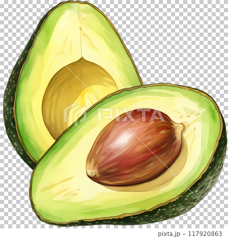 Avocado 117920863