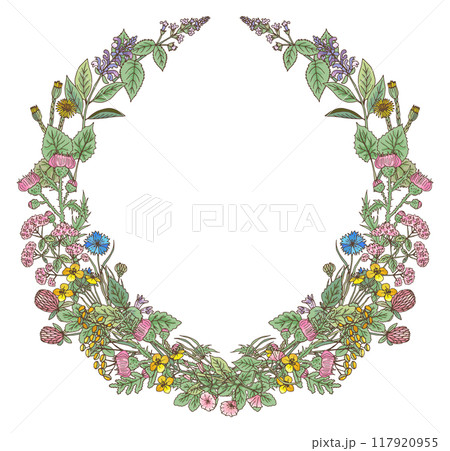 Herb wreath drawing. Colorful flowers round frame 117920955