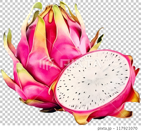 Dragon fruit 117921070