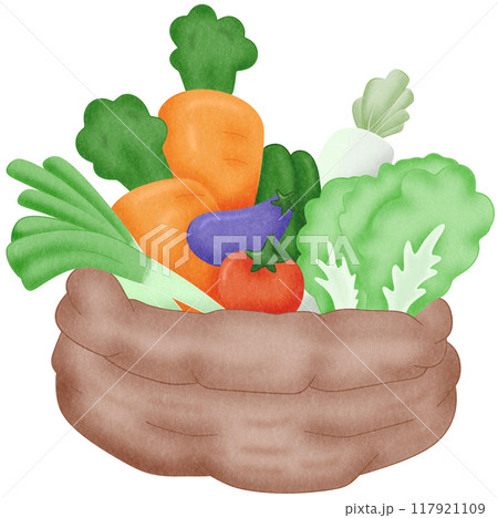 vegetable basket vegetable basket 117921109