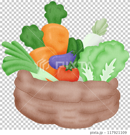 vegetable basket vegetable basket 117921109