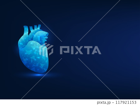 Medical technology background, heart connected to technology network, conveys heart disease treatment, doctors using modern technology to help treat heart-related diseases. Medical technology background, heart connected to technology network, conveys heart disease treatment, doctors using modern technology to help treat heart-related diseases. 117921153