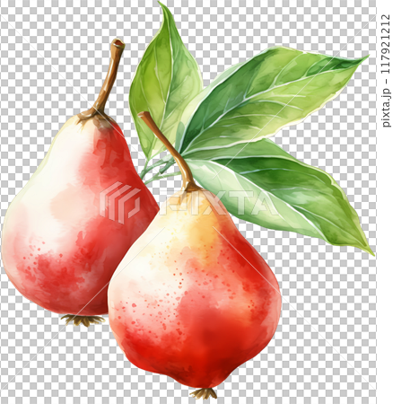 Chinese pear 117921212