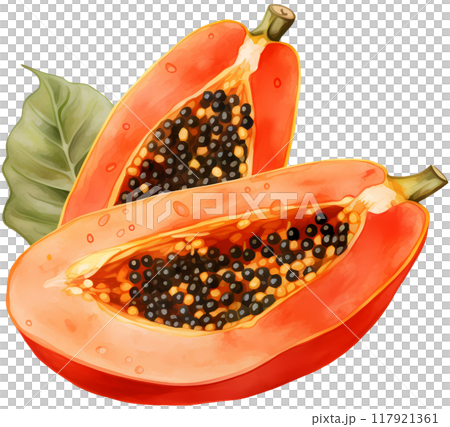 Papaya Papaya 117921361