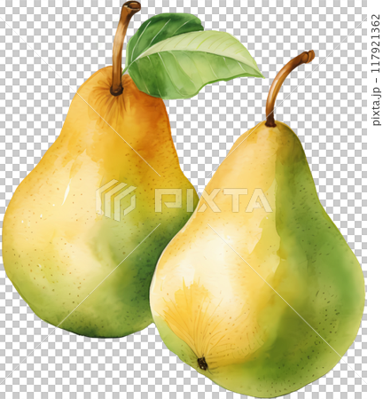 Pear 117921362