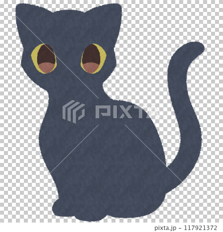 Black cat  117921372