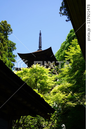 信州の鎌倉塩田平にはたくさんの寺があります（大法寺） 117921478