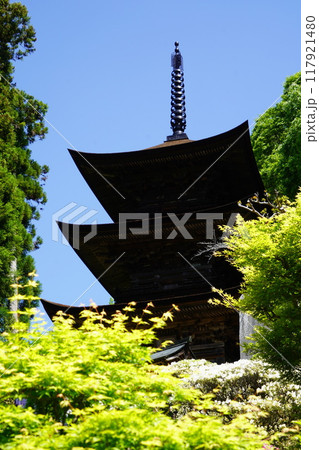 信州の鎌倉塩田平にはたくさんの寺があります（大法寺） 117921480