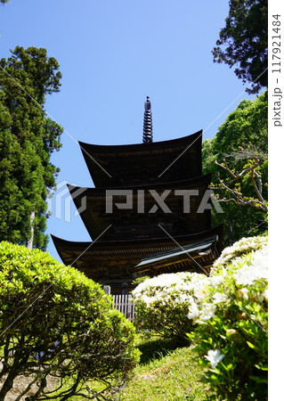 信州の鎌倉塩田平にはたくさんの寺があります(大法寺) 信州の鎌倉塩田平にはたくさんの寺があります(大法寺) 117921484
