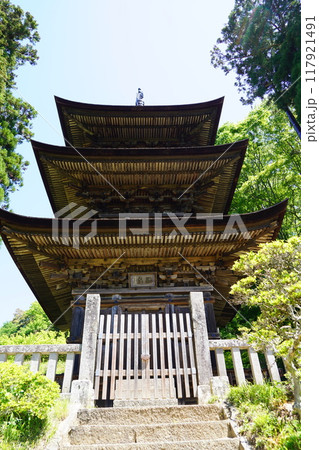信州の鎌倉塩田平にはたくさんの寺があります(大法寺) 信州の鎌倉塩田平にはたくさんの寺があります(大法寺) 117921491