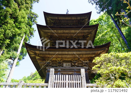 信州の鎌倉塩田平にはたくさんの寺があります（大法寺） 117921492