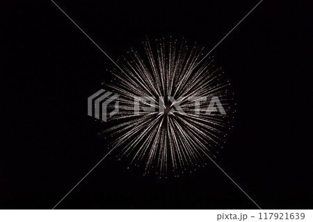 白い花火 白い花火 117921639