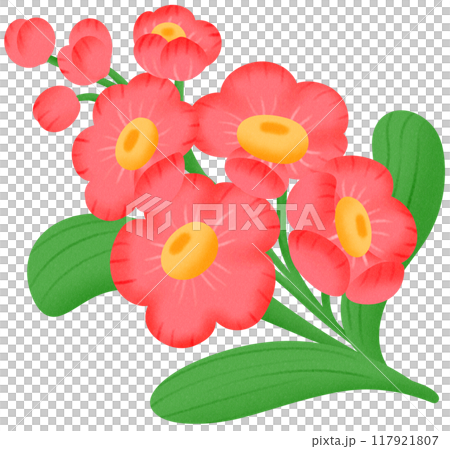 red orchid flower 117921807