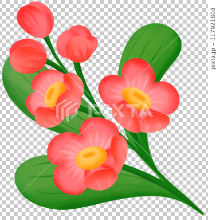 red orchid flower 117921808
