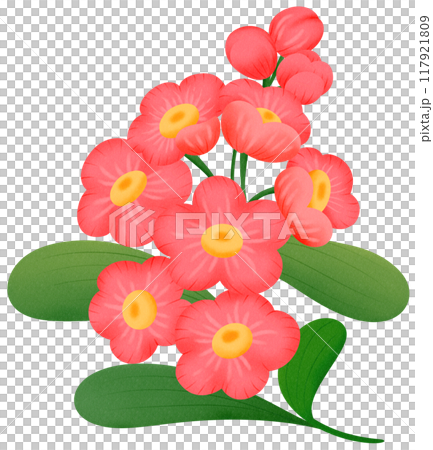 red orchid flower 117921809