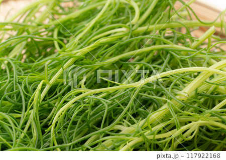 オカヒジキのクローズアップ 117922168