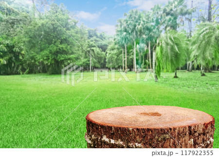 Empty tree stump for displaying products natural green tree background. Empty tree stump for displaying products natural green tree background. 117922355