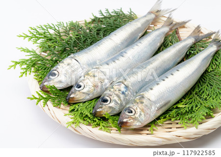 竹ざるに載った生のマイワシ 117922585