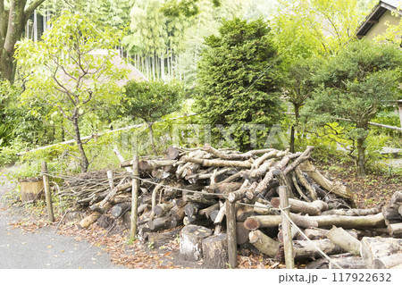 横浜の原風景の戸塚区舞岡ふるさと公園の夏 横浜の原風景の戸塚区舞岡ふるさと公園の夏 117922632
