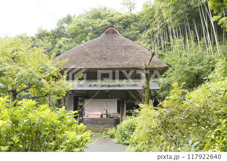 横浜の原風景の戸塚区舞岡ふるさと公園の夏 横浜の原風景の戸塚区舞岡ふるさと公園の夏 117922640