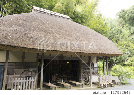 横浜の原風景の戸塚区舞岡ふるさと公園の夏 117922642