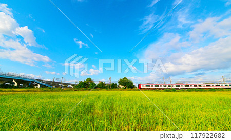 名鉄2200系電車と秋の田園風景 名鉄2200系電車と秋の田園風景 117922682