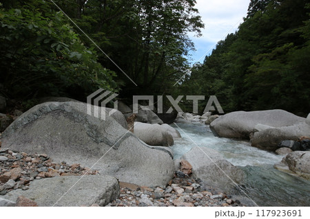蛇石（龍石）〜 片貝川上流の河原 〜 117923691