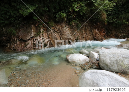 片貝川上流の河原 片貝川上流の河原 117923695