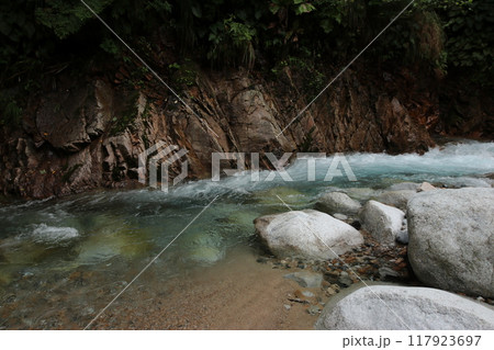 片貝川上流の河原 片貝川上流の河原 117923697