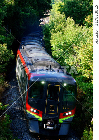 高徳線の朝を駆け抜ける特急うずしお(2700系5両編成) 高徳線の朝を駆け抜ける特急うずしお(2700系5両編成) 117923915