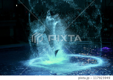 日本、東京、品川アクアパーク水族館の夜のイルカショー 117923949