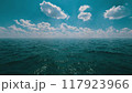 水平線 117923966