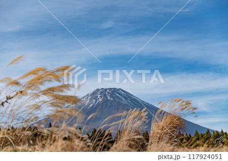 【山梨県】富士山の見えるキャンプ場 117924051