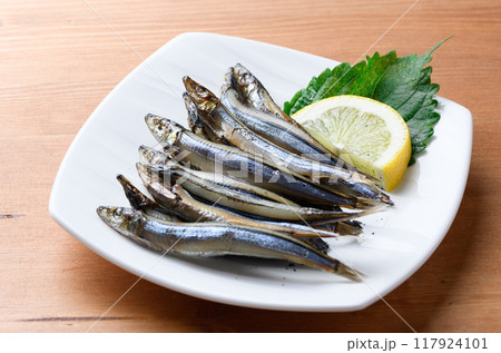 きびなご一夜干し ( きびなごの干物 )和歌山県串本港産 きびなご一夜干し ( きびなごの干物 )和歌山県串本港産 117924101