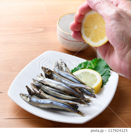 きびなご一夜干し （ きびなごの干物 ）和歌山県串本港産 117924125