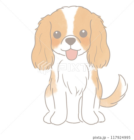 お座りするシンプルで可愛いブレンハイムのキャバリア 117924995