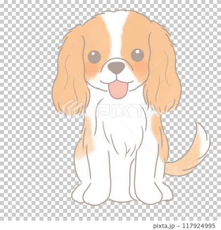 お座りするシンプルで可愛いブレンハイムのキャバリア 117924995