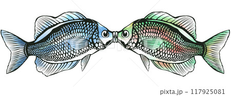 仲良しの観賞魚キッシンググラミーの切り絵イラスト 117925081