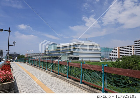 埼玉県志木市のいろは橋と志木市役所のみえる風景 117925105