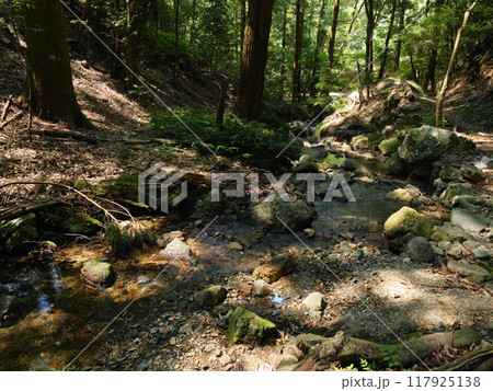 静岡県　浜松市　大谷不動滝　8月　晴れ 117925138