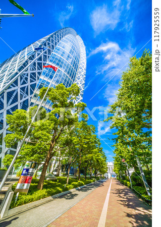 日本の東京都市景観　8月。東京モード学園コクーンタワーや新宿駅西口再開発などを望む＝20日 117925559